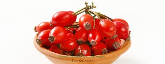 Rosa Canina per cani 200gr - immagine 3
