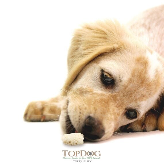 Cocco in granuli per cani certificato BIO 500gr - immagine 2