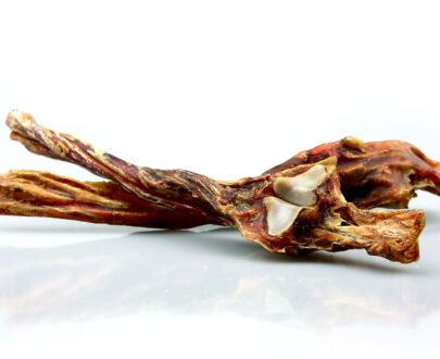 tendine-di-achille-di-cavallo-per-cani