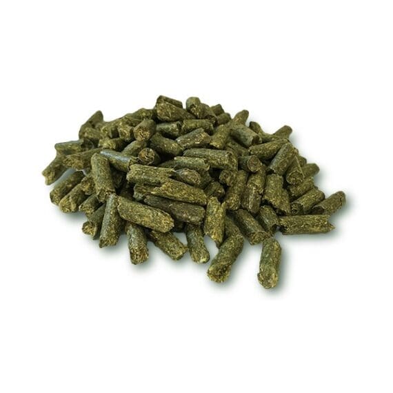erba medica per cani