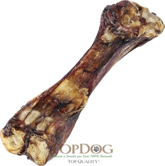 Osso di Vitello per cani XL