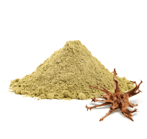 artiglio-del-diavolo-per-cani