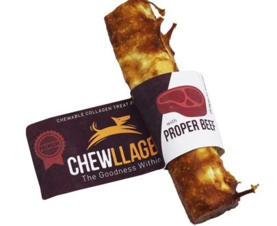 collagene idrolizzato per cani