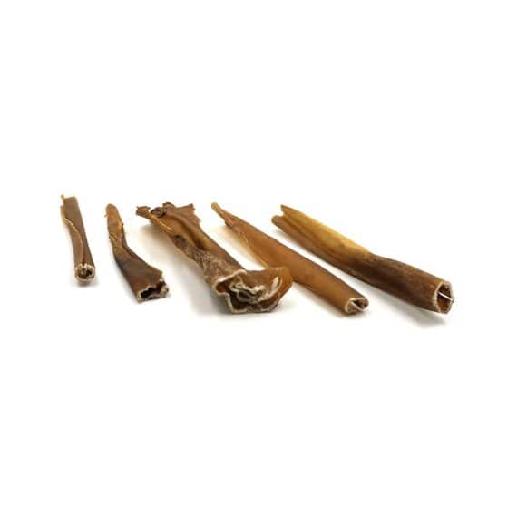Pelle di cinghiale essiccata senza pelo per cani 150gr - immagine 2