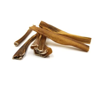 pelle-cinghiale-cani2