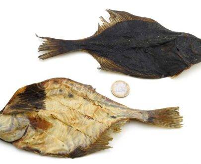 Platessa essiccata per cani intera 250gr