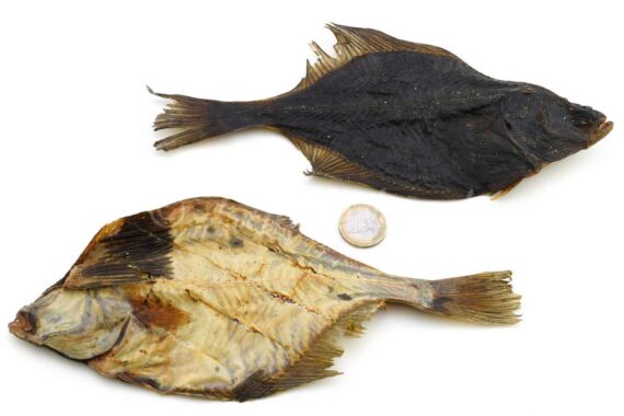 Platessa essiccata per cani intera 250gr