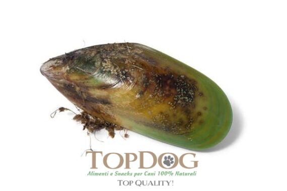 Cozze verdi in polvere per cani 100gr - immagine 3