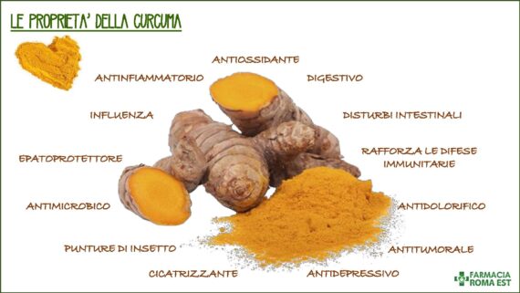 curcuma per cani