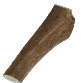 corna di cervo xl cani grande taglia