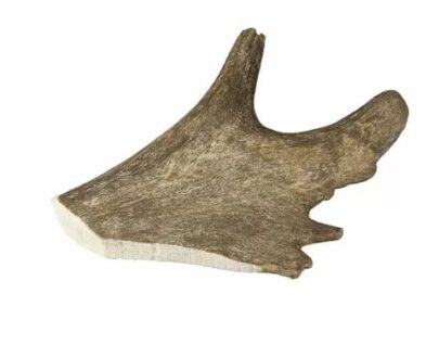 corno di daino per cani