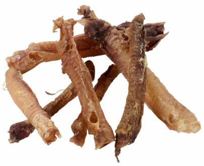 trachea-agnello-essiccata-per-cani