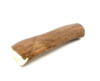 corno-renna-per-cani