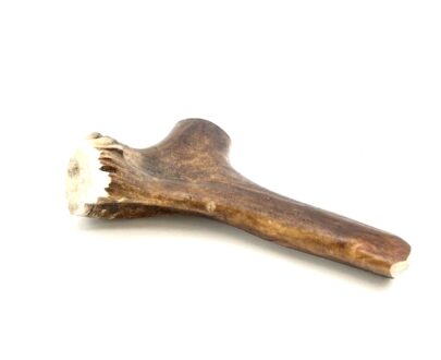 corno-renna-per-cani