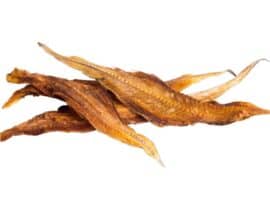 sogliole essiccate per cani