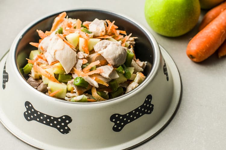 dieta casalinga per cani