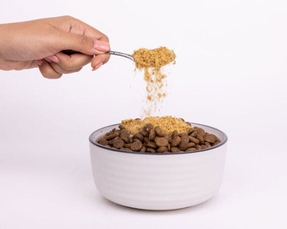 Trippa verde di Manzo per cani in polvere 500gr - immagine 3
