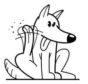 Masticativi Ipoallergenici per cani