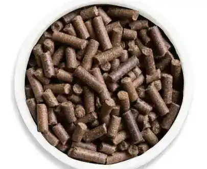 Crocchette Naturali per Cani all’Agnello