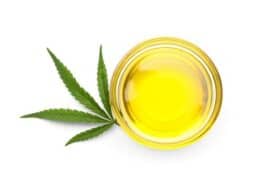 olio di canapa per cani
