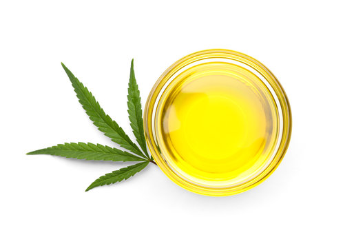 olio di canapa per cani