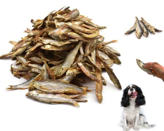 Aringhe essiccate per cani intere 100gr - immagine 4
