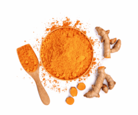 curcuma per cani