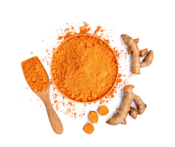 curcuma per cani
