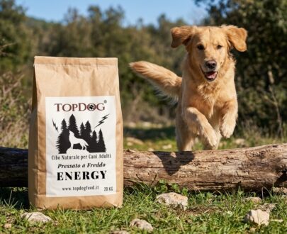 cibo naturale per cani energy
