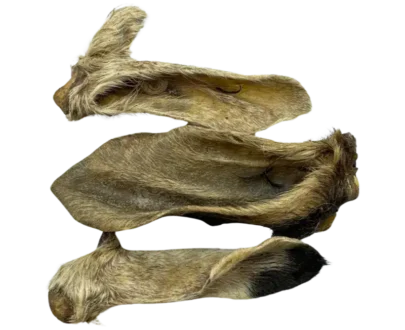 orecchie di capra per cani con pelo