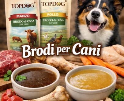 Brodo di ossa per Cani BARF