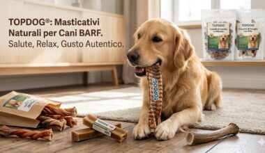 masticativi per cani BARF naturali.