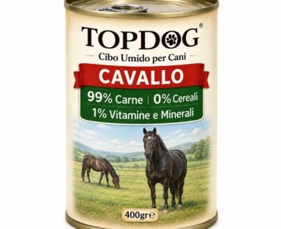 cibo umido monoproteico per cani al cavallo